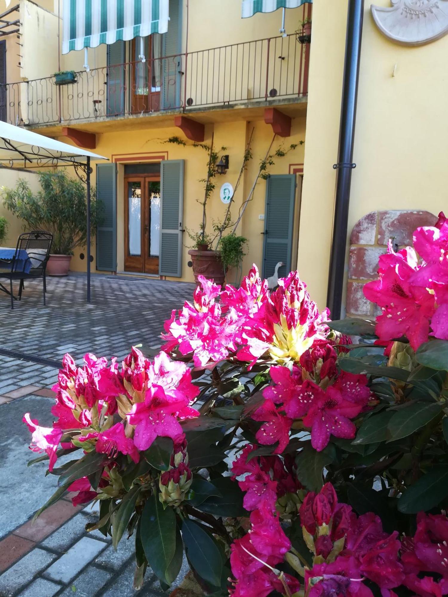 L'Adele Bed & Breakfast Occimiano Exteriér fotografie